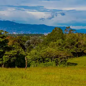 Terrenos