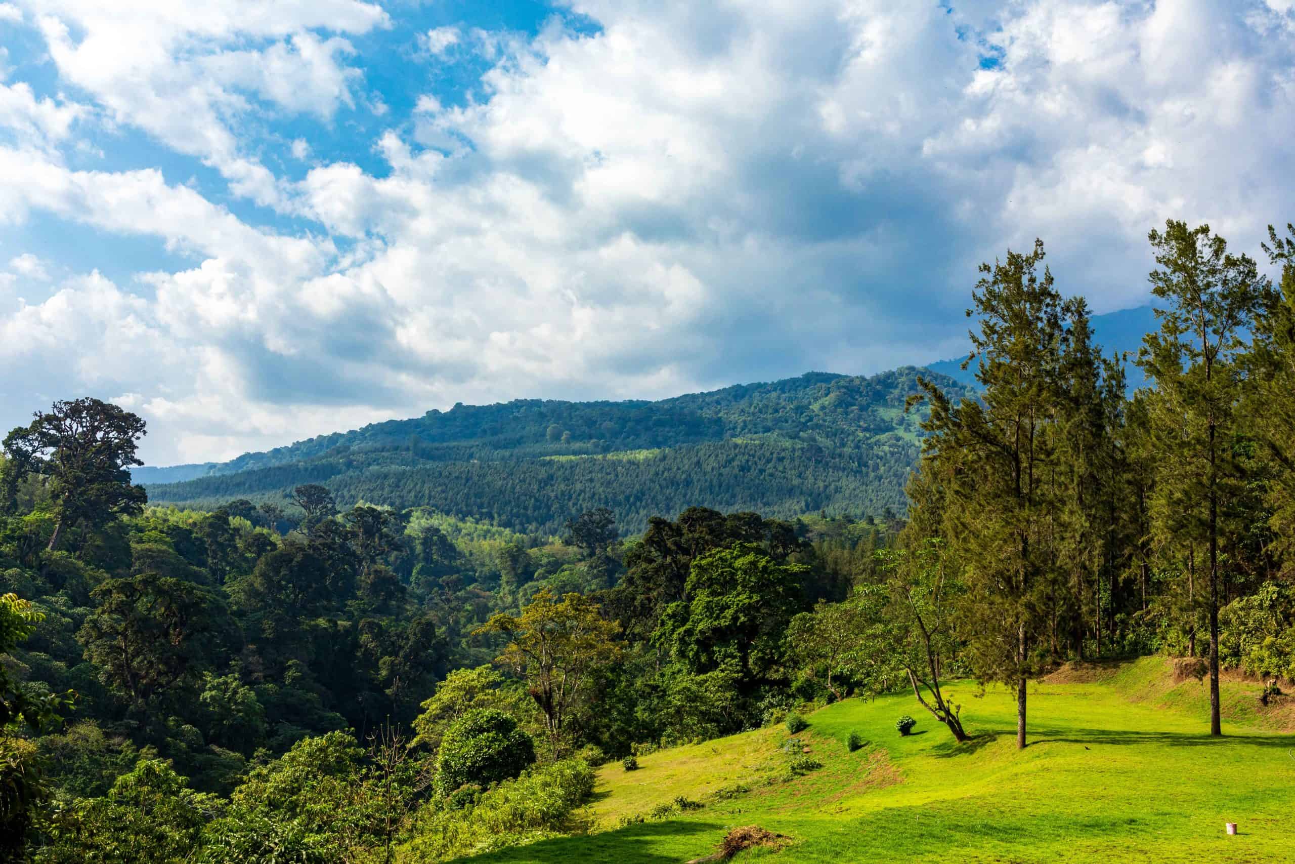 Lifestyle in Heredia